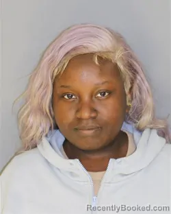 Mugshot of Mikayla K Mclean booked in Essex County, New Jersey on September 14, 2026