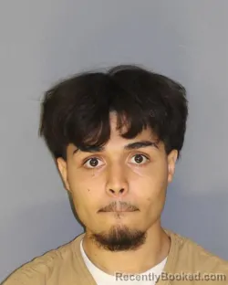 Mugshot of David E Hernandez booked in Essex County, New Jersey on September 24, 2026