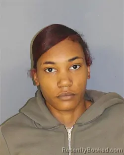 Mugshot of Kayla E Newkirk booked in Essex County, New Jersey on October 12, 2026
