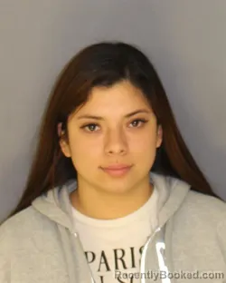 Mugshot of Anuska K Villanuevabazan