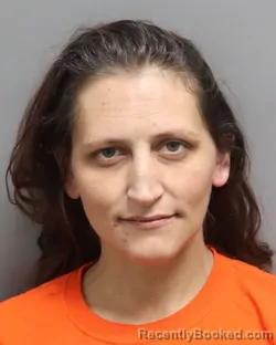 Mugshot of ERICA MICHELLE KLINE