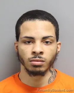 Mugshot of DAMON KENYON MAYS