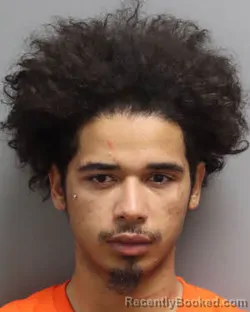 Mugshot of ROMELLE ALLEN MAZYCK