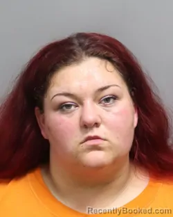Mugshot of DANICA MADISON SAWYER