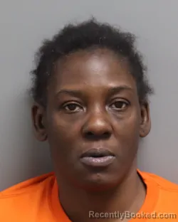 Mugshot of TERRESA MASHELL PORTER