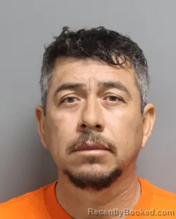 Mugshot of AMPARO EVARISTO CABRERA MONTALBAN