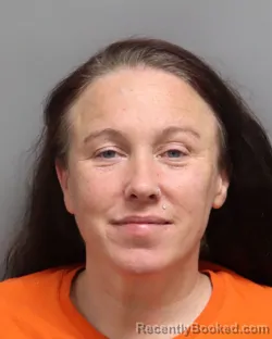 Mugshot of TANYA ELIZABETH MENDONES