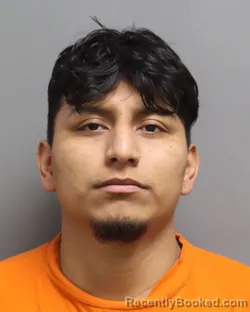 Mugshot of HENRY ROSALDO RODRIGUEZ