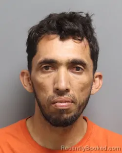 Mugshot of JUAN RAMON MORALES MACHADO