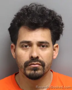 Mugshot of LUIS CARDONA OSORIO