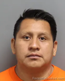 Mugshot of PEDRO GONZALEZ-TINO