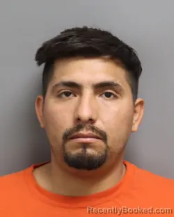 Mugshot of ALEJANDRO VEGA-OCHOA