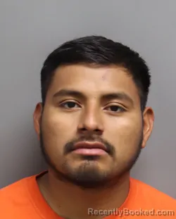 Mugshot of ROMMY MANZANO BOLANOS