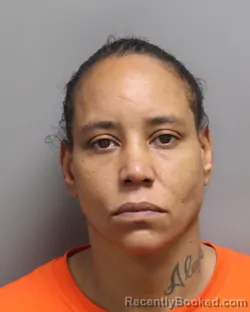 Mugshot of LONNIE MARIE CHAPMAN