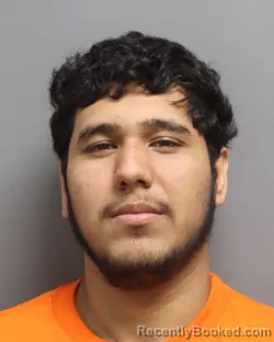 Mugshot of MIAEL VALDEZ