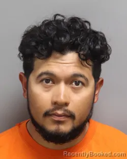 Mugshot of JOSE MANUEL REYES-PALAFOX