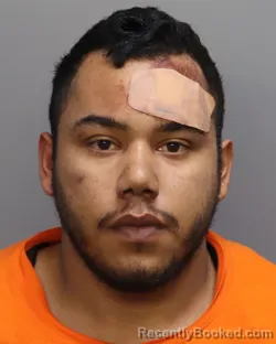 Mugshot of BRAYAN ALFARO ZELAYA