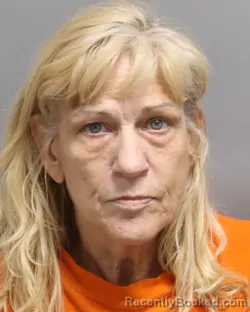 Mugshot of DEBORAH KAY SEIBER-HODOM