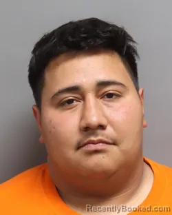 Mugshot of NELSON ABRAHAM GAMERZ MARTINEZ