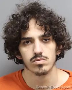 Mugshot of JACE THOMAS ROSE