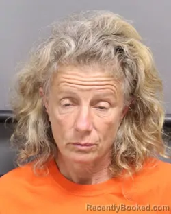 Mugshot of SUSAN DAWN HESS booked in Dorchester County, South Carolina on April 9, 2026