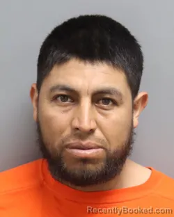 Mugshot of RAMON BADILLO ARMANDO booked in Dorchester County, South Carolina on April 9, 2026
