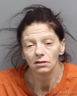 Mugshot of HILLARY NICOLE CARTER booked in Dorchester County, South Carolina on April 15, 2026