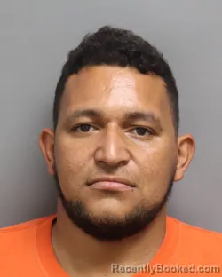 Mugshot of DENNIS ANTONIO AMADOR booked in Dorchester County, South Carolina on April 16, 2026