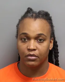Mugshot of LATAVIA NAKITA BILLUPS booked in Dorchester County, South Carolina on April 19, 2026