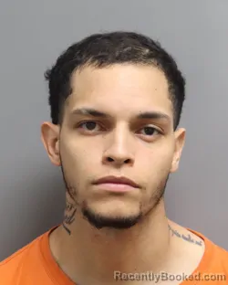Mugshot of WLAIDER ANDRES TENIA-GONZALEZ booked in Dorchester County, South Carolina on April 19, 2026