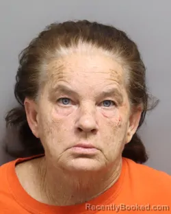 Mugshot of ANN MARIE HUDSON booked in Dorchester County, South Carolina on April 21, 2026