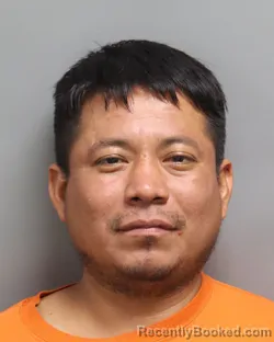 Mugshot of FERNANDO DOMINGUEZ booked in Dorchester County, South Carolina on April 28, 2026