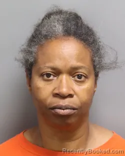 Mugshot of KIMBERLY PARKER booked in Dorchester County, South Carolina on April 29, 2026