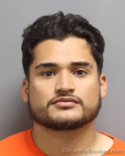 Mugshot of GINO ALESSANDRO ANDRADE SAUCEDA booked in Dorchester County, South Carolina on May 5, 2026