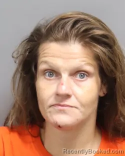Mugshot of MEGAN ANN COLLINS booked in Dorchester County, South Carolina on May 11, 2026