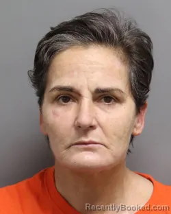 Mugshot of JILL A CARTER booked in Dorchester County, South Carolina on May 13, 2026