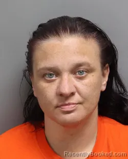 Mugshot of JESSICA NICOLE DYSON booked in Dorchester County, South Carolina on May 14, 2026
