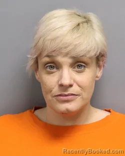 Mugshot of MICHELLE ELIZABETH KNIGHT BALLARD booked in Dorchester County, South Carolina on May 17, 2026