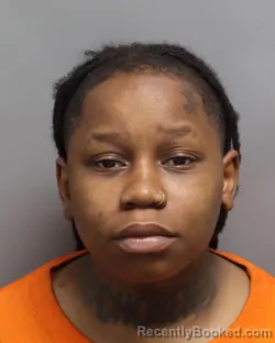 Mugshot of SAMESHA IMANI BEATON booked in Dorchester County, South Carolina on May 25, 2026