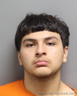 Mugshot of NICHOLAS ESTRADA SANDOVAL booked in Dorchester County, South Carolina on June 7, 2026