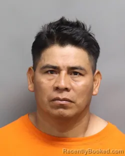 Mugshot of ROMUALDO IGNACIO SILVANO PEREZ booked in Dorchester County, South Carolina on June 14, 2026