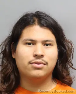 Mugshot of HEBER FERNANDO LENDOS ANTUNEZ booked in Dorchester County, South Carolina on June 20, 2026