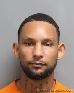 Mugshot of HAKEEM IBN WAHID JAMES booked in Dorchester County, South Carolina on June 24, 2026
