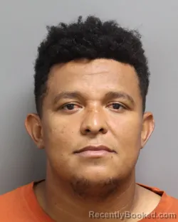 Mugshot of ROGER VAQUEDANO MEJIA booked in Dorchester County, South Carolina on June 24, 2026
