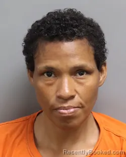Mugshot of MAGGIE DANIELLE EMMONS booked in Dorchester County, South Carolina on June 25, 2026