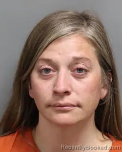 Mugshot of BONNIE ELLEN CLARK booked in Dorchester County, South Carolina on June 25, 2026