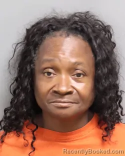 Mugshot of BRENDA CHARLENE CARTER booked in Dorchester County, South Carolina on June 26, 2026