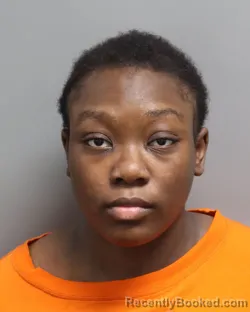 Mugshot of AMANIE JENKINS booked in Dorchester County, South Carolina on June 29, 2026