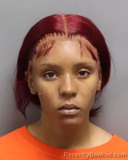 Mugshot of MIYAH MARIE DAVIS booked in Dorchester County, South Carolina on July 3, 2026