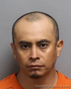 Mugshot of PENA MANUEL CRUZ booked in Dorchester County, South Carolina on July 4, 2026